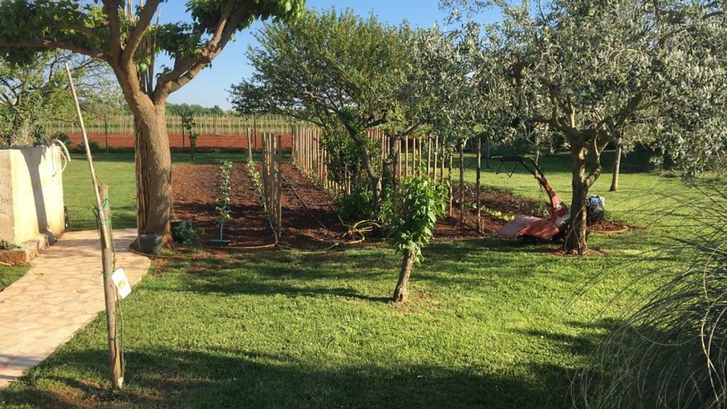 Appartment Hacienda Monica أوماغ المظهر الخارجي الصورة