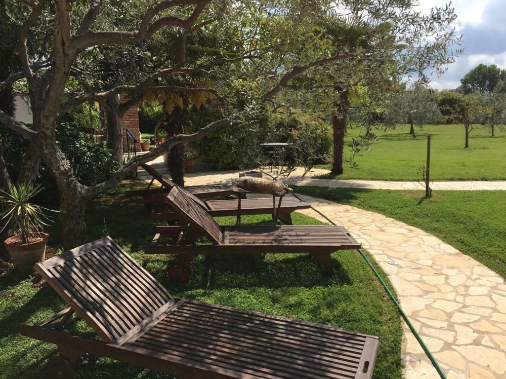 Appartment Hacienda Monica أوماغ المظهر الخارجي الصورة
